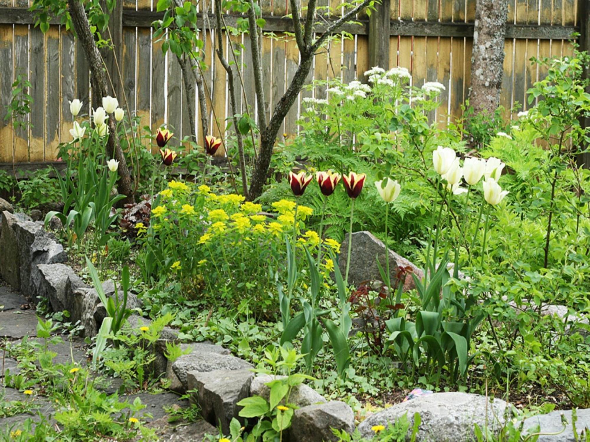 Bed and Breakfast Uddens Bed & Breakfast Öregrund Exterior foto